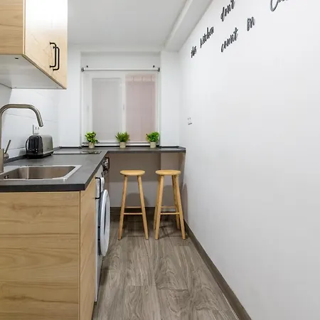 Centrico Piso En Apartment